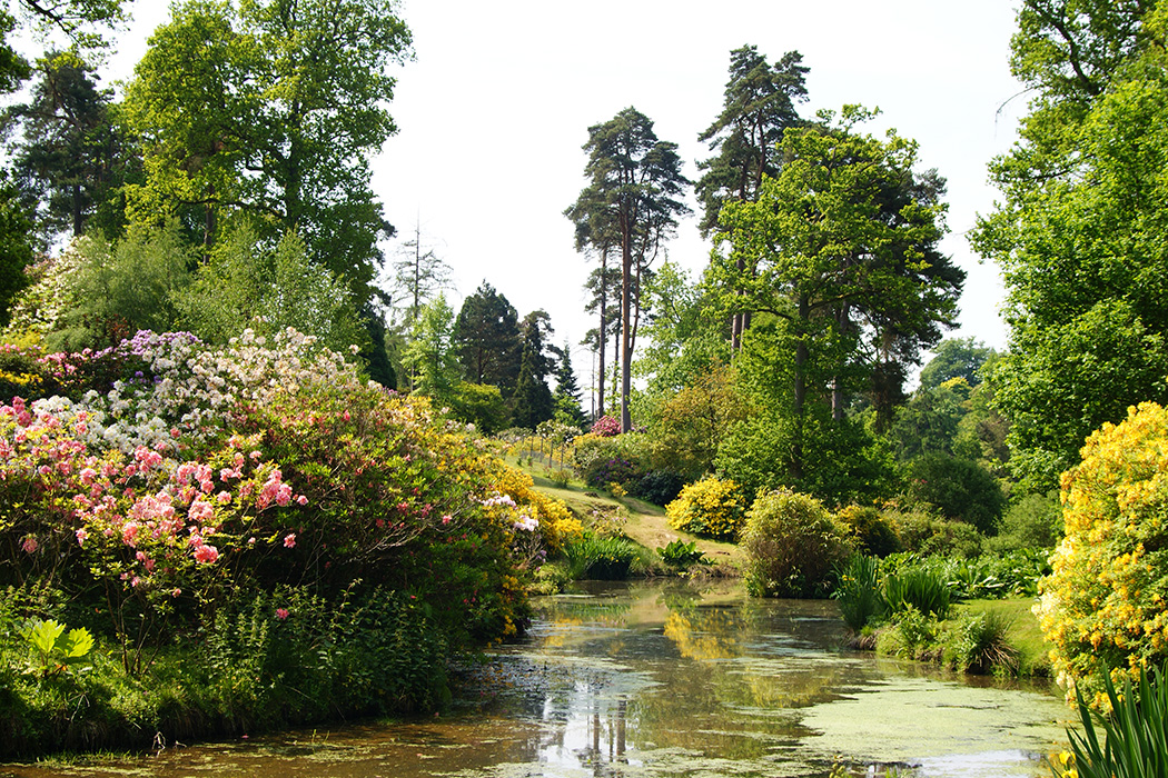 Black Narcissus filming location: Leonardslee Gardens, Lower Beeding, West Sussex