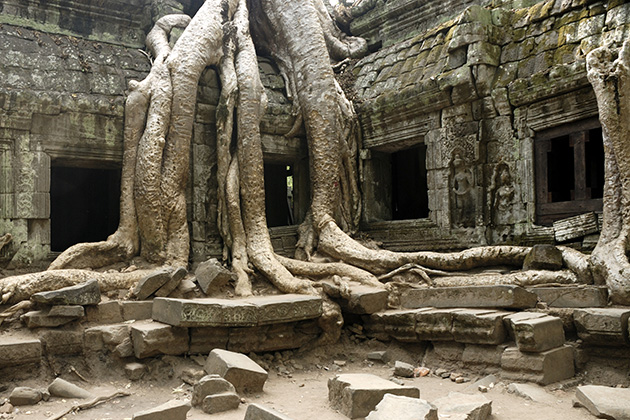 Lara Croft: Tomb Raider filming location: Ta Prohm, Siem Reap, Cambodia