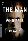 The Man Who Fell To Earth poster