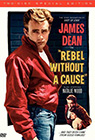Rebel Without A Cause poster